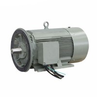 博莱特空压机电机YE2-250M2-2/1625173519