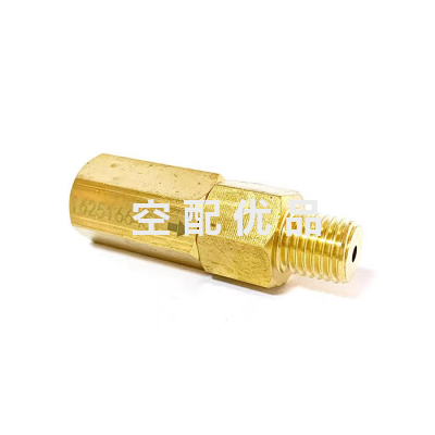 英格索兰15856727单向阀F1/2"-3/4"-500PSIG图1