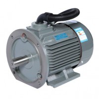 QX105914登福GD空压机电机motor250HP/4p/I