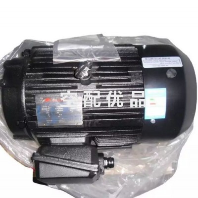 QX105889登福GD空压机电机D250KW/10KV/IP54