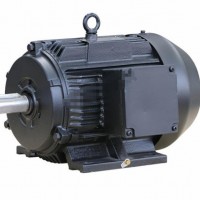 15876097英格索兰IE2电机7.5HP/380-415V/3