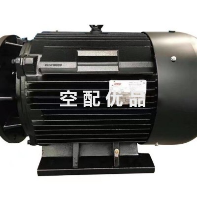 英格索兰18984542电动机200KW/380V/IP55