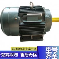 斯可络SCR40M空压机30KW电机YE3-200L1-2/380V