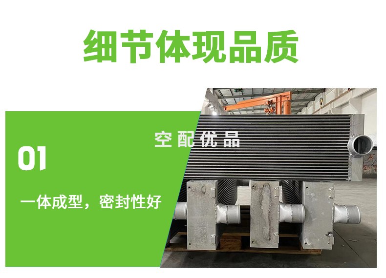2117010028冷却器9620111-20800