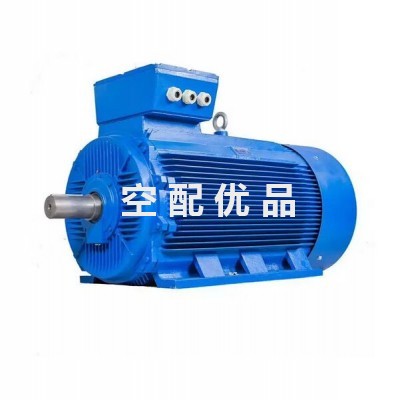 ZYS315XL-2-200kW博莱特空压机1625173470电机图1