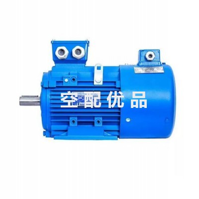 ZYS315L2-4-200kW博莱特空压机1625173451电机图2