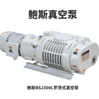 鲍斯BSJ300L罗茨式真空泵 抽速1000-1200m³/h直连式罗茨泵